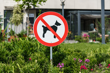 Close-up of a "No Dogs Allowed" sign in a modern urban park. The sign features a black dog silhouette crossed out with a red circle on a white background, surrounded by green grass and blooming flower