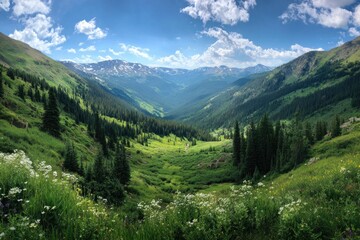 Fototapeta premium Lush green mountain valley, wildflowers in foreground, snow-capped peaks in distance under a partly cloudy sky