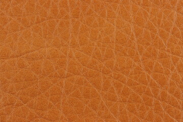 Macro image of the texture of genuine leather. 