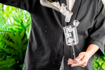 A person in a black jacket pours ice cubes from a container into a wine glass, creating a refreshing and elegant atmosphere. Green plants in the background add a fresh, vibrant touch.