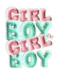 Baby shower card.Boy or Girl Poster.Fluffy plush font letters crafted text inscription from pastel blue pink faux fur texture.Decor.Greeting invitation.Gender party decoration.Canvas wall art.