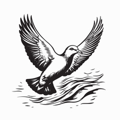 Dove Flying Over Body Water Image Vector Isolated on white background