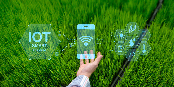 A hand holds a smartphone displaying IoT smart farming icons over a lush green field, illustrating digital agriculture technology and precision farming.