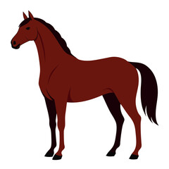 Realistic Brown Horse Standing Vector icon isolated on white background