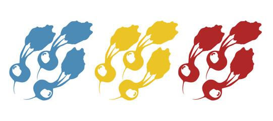 beetroot icon on white background, vector illustration