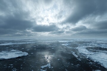 Fototapeta premium Expansive, icy arctic waters under a brooding, overcast sky; scattered ice floes reflect muted sunlight on dark water