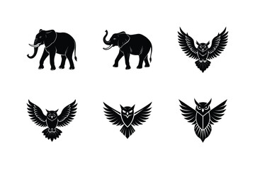 Obraz premium Black and white vector silhouettes of an elephant and different owl illustrations