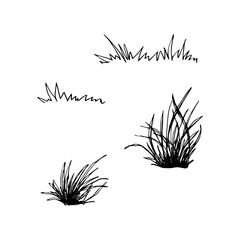 A set of tufts of grass in different shapes and sizes. Black and white graphic vector illustration. Isolated on white. Natural elements perfect for landscape and nature themed designs.