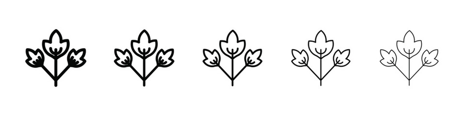 Obraz premium Parsley icon isolated vector on white background set