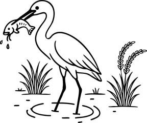 An egret catching a fish in a rice field