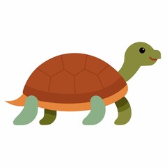 Cute cartoon turtle illustration isolated on white background