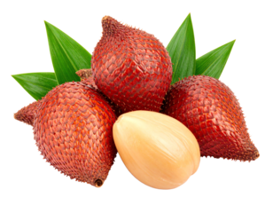 salak,sala (Zalacca edulis Reinw.) isolated on transparent background