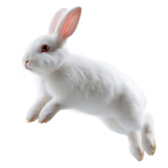 Elegant White Rabbit A Charming Pet for All Ages on isolated background, generative ai
