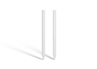 Stylus Pen Mockup for Designer Branding