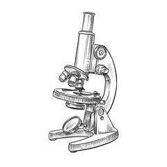 microscope vector line art hand drawn illustration
