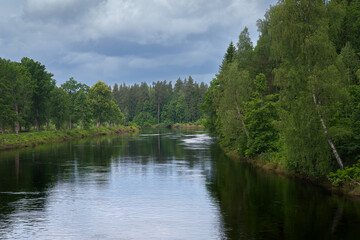 Fototapeta premium lake in the forest