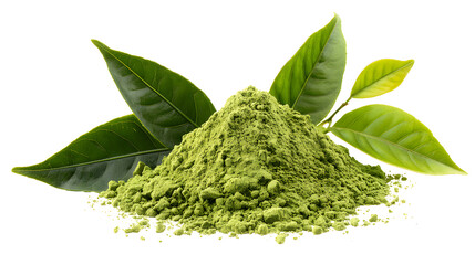 Organic green matcha tea powder with fresh tea leaves isolated on a white background