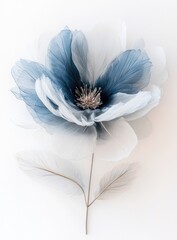 Delicate, large, blue-white flower on stem