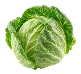 Obraz premium Fresh Green Cabbage Head Close Up Isolated on Transparent Background fresh green cabbage
