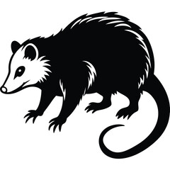 opossum vector