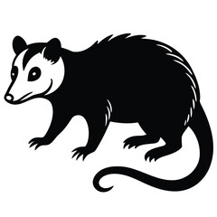 opossum vector