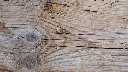 Wood plank texture background. Rough surface of old wood with natural color
