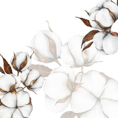 Hand Drawn Cotton Flowers Watercolor Illustration. Cotton Balls isolated on white. Floral Watercolor Art. Cotton Plant watercolor drawing. Cotton Branches Hand Painted Isolated. Eco and organic design