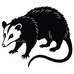 opossum vector
