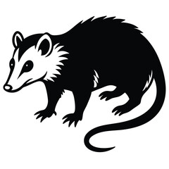 opossum vector