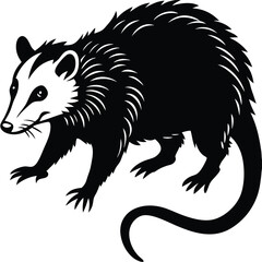 opossum vector