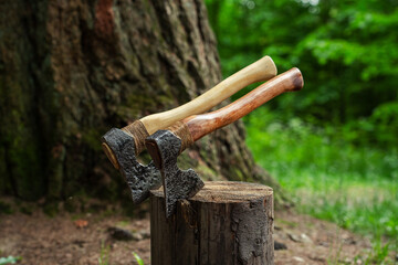 2 axes in a stump in the forest
