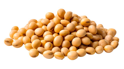 Soybean isolated on a white background