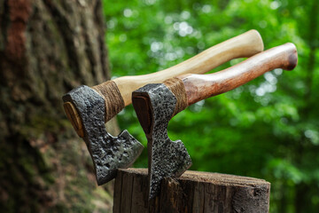 Шведский топор крупным планом в зеленом лесу.