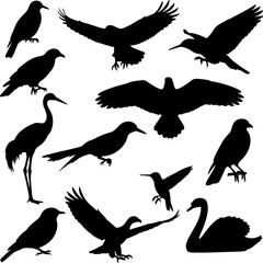 Birds Mix_Silhouetter Vector 0002.eps
