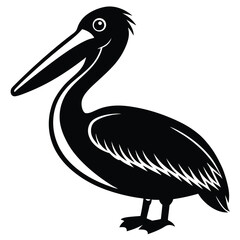 pelican vector