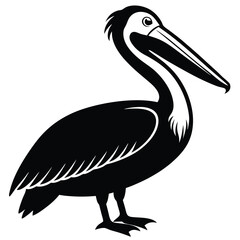pelican vector