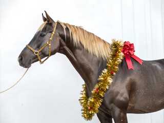 Sophisticated horse with a sparkling garland and festive bow on a white background, elegant holiday portrait