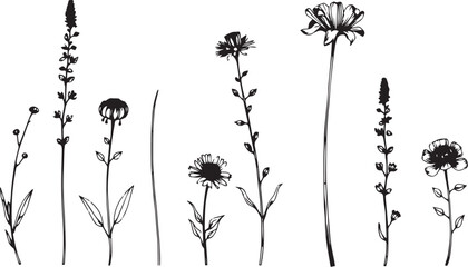 Set of plants and flowers. Hand drawn vector illustration