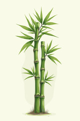 Fototapeta premium Bamboo plant with green leaves in a minimalist style 