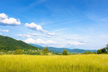 evening summer landscape with grass field in mountains. countryside scenery of transcarpathia,...