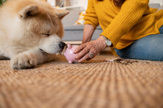 Senior woman saving money with her akita dog by piggy bank