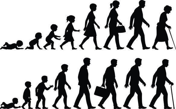Silhouette illustration showing human life cycle stages of development
