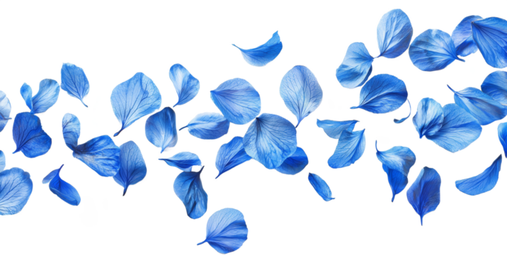 blue petal flower falling down 