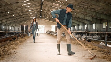 Handsome Caucasian farmer with broom sweeping hay in goat farm. Beautiful woman walking behind man and carrying buckets. Adorable workers caring about sheep. Concept of farming business.