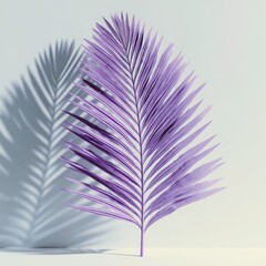 Lavender palm frond with a shadow cast on a light grey background