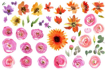 Set of colorful watercolor flowers, PNG transparent