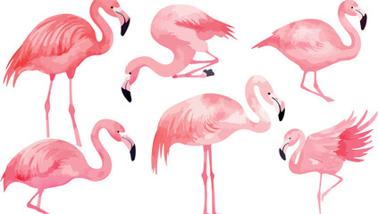 Obraz premium Watercolor Flamingo Set Illustration Pink Bird Collection with Different Poses Tropical Wildlife Design Element Isolated on White Background Perfect for Summer and Beach Themes