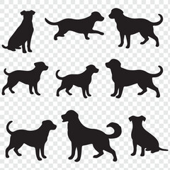 dogs set silhouette on transparent background. Vector set of different dog breed silhouette.