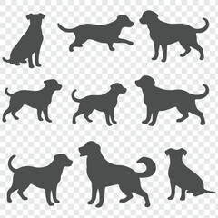 dogs set silhouette on transparent background. Vector set of different dog breed silhouette.