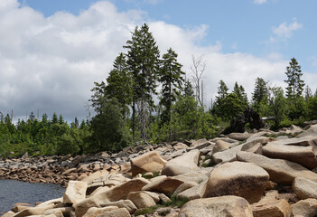 Oderteich Talsperre im Nationalpark Harz